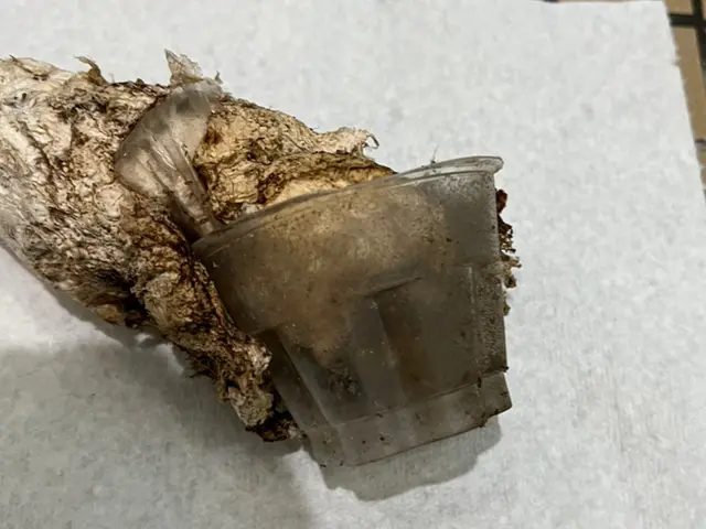 【業歴30年以上の経験と実績】受付訪問とも同じ者が伺いますサービスの画像