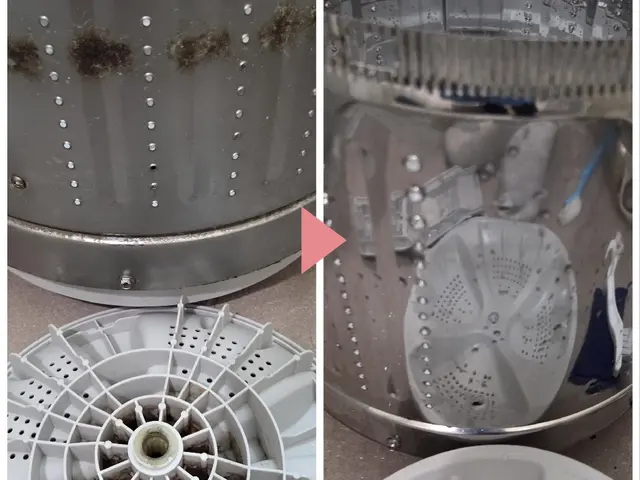 【ニオイ・乾燥対策】ドラム式洗濯機分解クリーニングサービスの画像