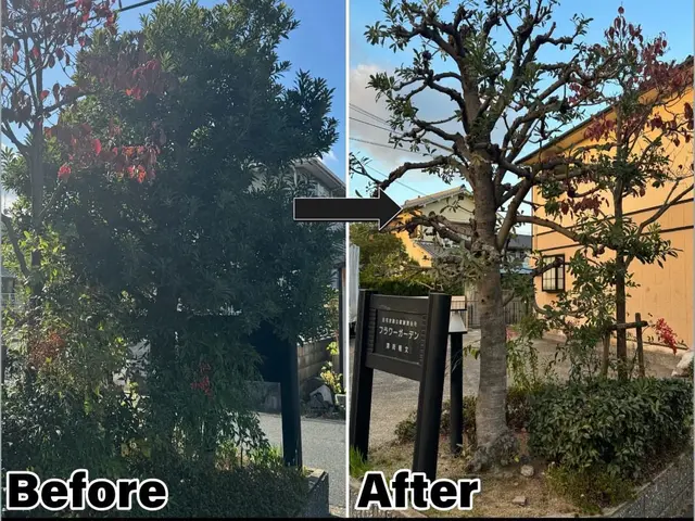 抱えてる問題解決しませんか？写真見積もり出来ます！現地見積もりも無料で安心です！サービスの画像