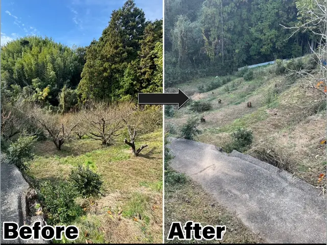抱えてる問題解決しませんか？写真見積もり出来ます！現地見積もりも無料で安心です！サービスの画像