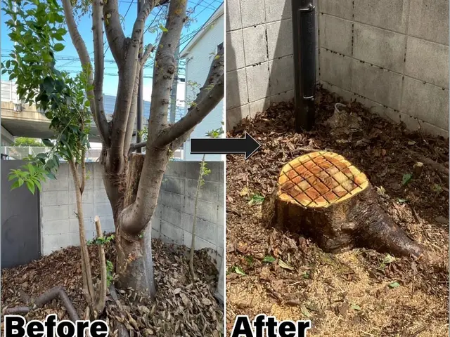 抱えてる問題解決しませんか？写真見積もり出来ます！現地見積もりも無料で安心です！サービスの画像