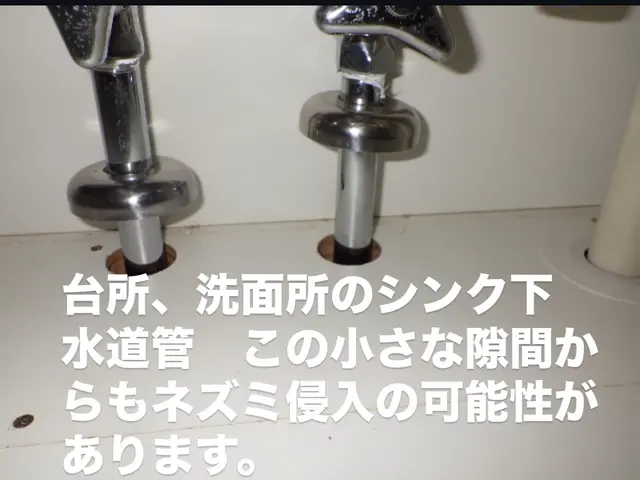 ★昨年年間300件の実績★大手経験10年以上★即時対応！★サービスの画像