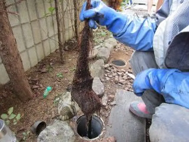 埼玉県ふじみ野市発◆損害保険加入済◆年中無休◆営業時間外・対応地域外も対応可能！サービスの画像