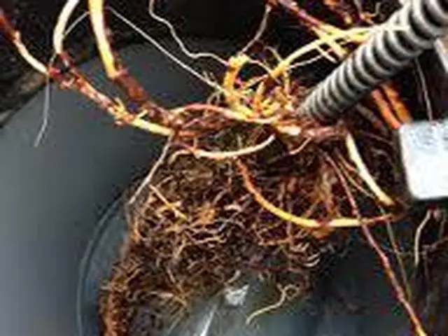 埼玉県ふじみ野市発◆損害保険加入済◆年中無休◆営業時間外・対応地域外も対応可能！サービスの画像