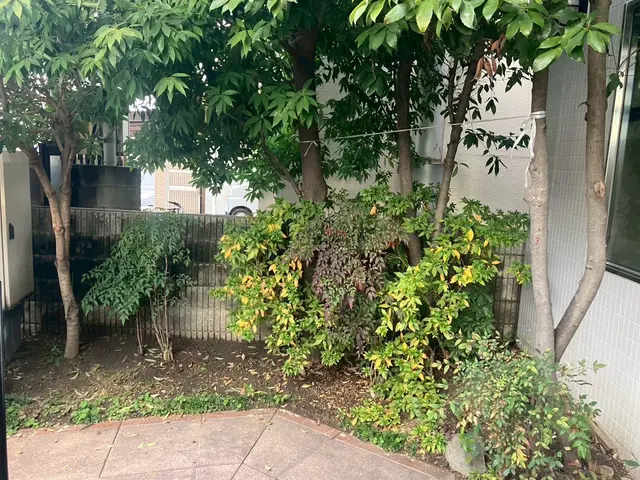 あなたのお庭を綺麗に！元職人による丁寧な接客と技術！サービスの画像