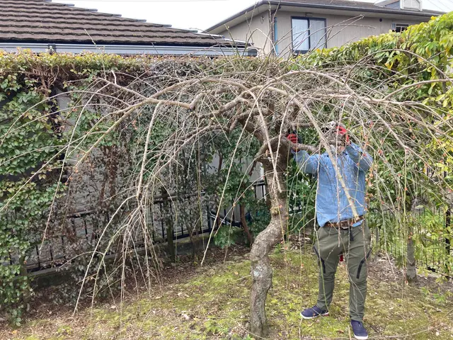 鹿児島県◇損害保険加入済み！カード決済可！誠実対応・確実施工を行います！サービスの画像
