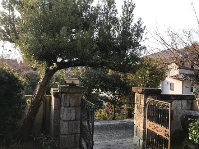 伐採、抜根をして、お庭の悩み解決しませんか？【姫路から岡山まで対応致します！】サービスの画像