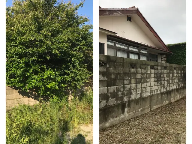 伐採、抜根をして、お庭の悩み解決しませんか？【姫路から岡山まで対応致します！】サービスの画像