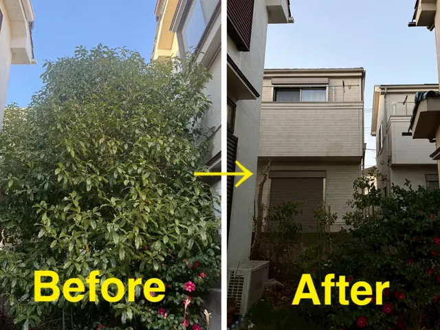 【3月まだ空きあります】即日対応！スピードと丁寧さを両立します！無償現場調査！サービスの画像