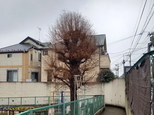 地域密着型の植木屋です○庭の悩みお気軽にご相談しながらお庭を綺麗に○良いご縁を○サービスの画像