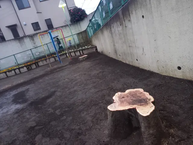 地域密着型の植木屋です○庭の悩みお気軽にご相談しながらお庭を綺麗に○良いご縁を○サービスの画像