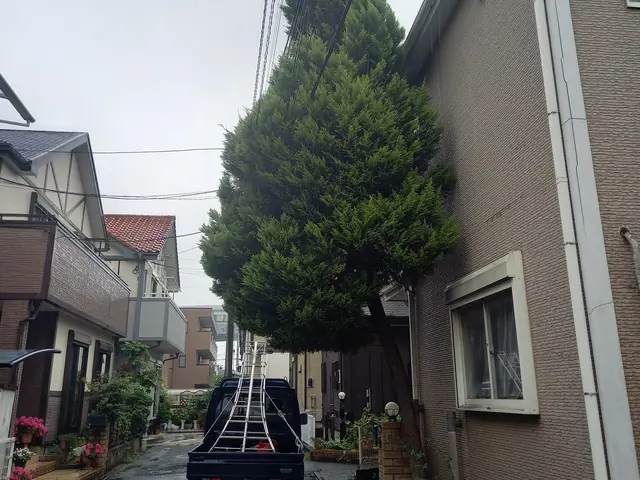 地域密着型の植木屋です○庭の悩みお気軽にご相談しながらお庭を綺麗に○良いご縁を○サービスの画像
