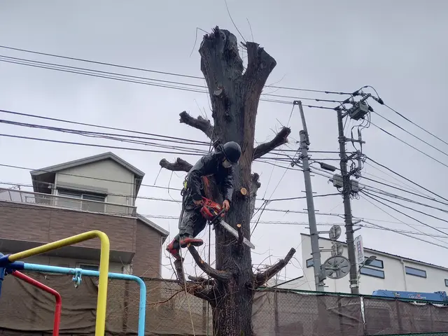 地域密着型の植木屋です○庭の悩みお気軽にご相談しながらお庭を綺麗に○良いご縁を○サービスの画像