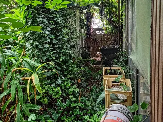 地域密着型の植木屋です○庭の悩みお気軽にご相談しながらお庭を綺麗に○良いご縁を○サービスの画像