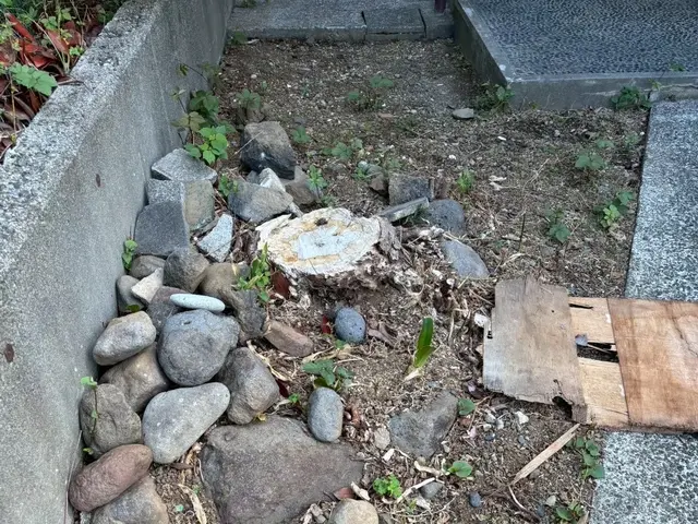 10月新出店◎丁寧で安心！細かく綺麗に仕上げます【伊東市】サービスの画像