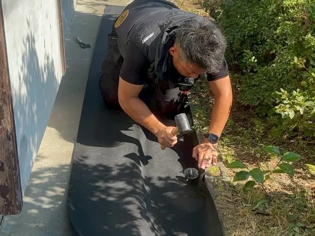 リピーター続出！丁寧で安心◎細かく綺麗に仕上げます【伊東市】サービスの画像