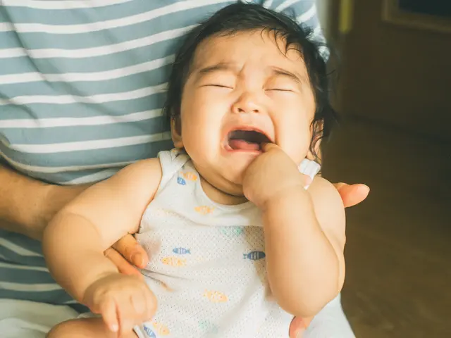 【ママ目線で自然な家族写真を！】記念日、行事、卒業、入学式、日々を感動の一枚に。