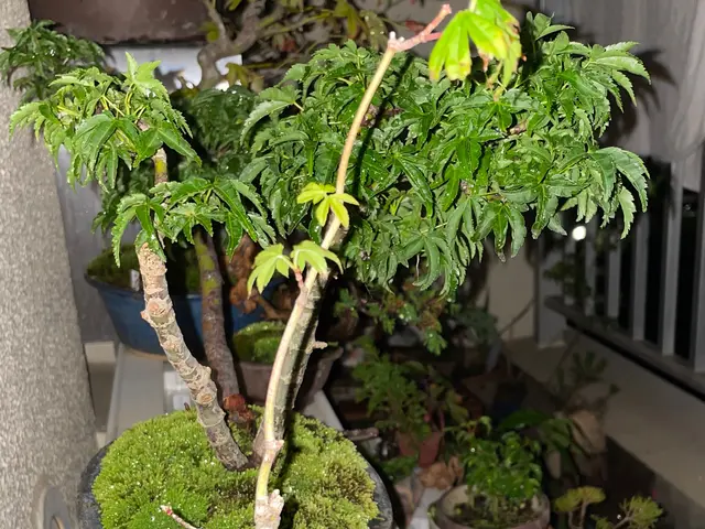 ＜女性スタッフの同行OK＞営業時間外のご予約も相談可能です◎サービスの画像