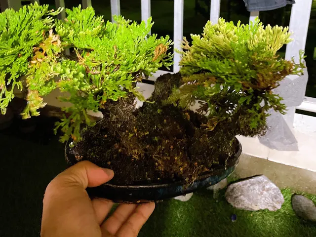 ＜女性スタッフの同行OK＞営業時間外のご予約も相談可能です◎サービスの画像