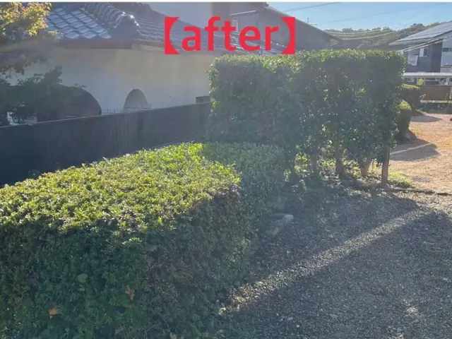 実績十分！スタッフがお客様の庭木を手厚く、丁寧に美しく剪定いたします。サービスの画像