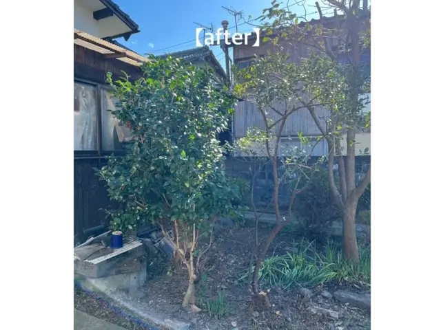 実績十分！スタッフがお客様の庭木を手厚く、丁寧に美しく剪定いたします。サービスの画像