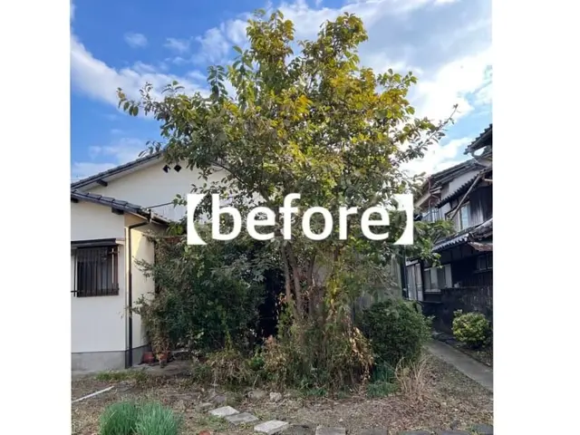 実績十分！スタッフがお客様の庭木を手厚く、丁寧に美しく剪定いたします。サービスの画像