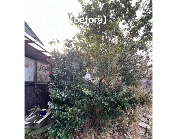 実績十分！スタッフがお客様の庭木を手厚く、丁寧に美しく剪定いたします。サービスの画像