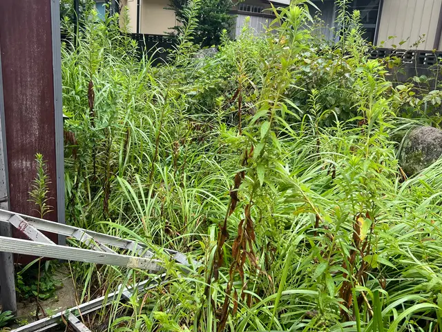 草抜き、除草さぎプロの技術でご満足いただけるように心を込めて作業いたしますサービスの画像