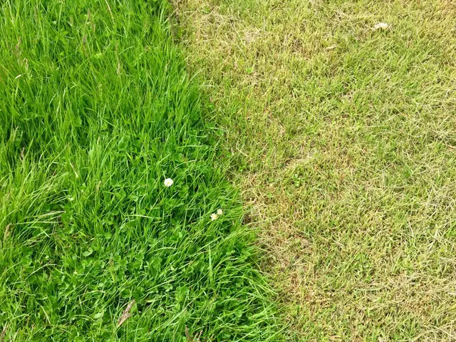 ◎年中無休◎地域密着店◎自社スタッフが迅速丁寧に仕上げますサービスの画像