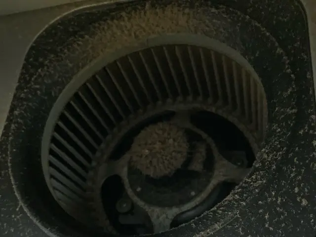 安心の損害保険加入◎最後まで丁寧に作業致します。妥協はしません！サービスの画像