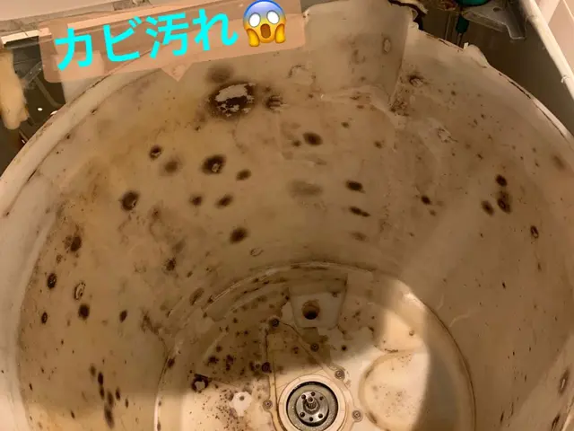 ★日立製も対応★生まれてくる赤ちゃんのための水通しを綺麗な洗濯機で♪サービスの画像