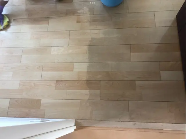 【在室・入居中クリーニング】汚部屋、メンテナンス何でもお任せ下さい★サービスの画像