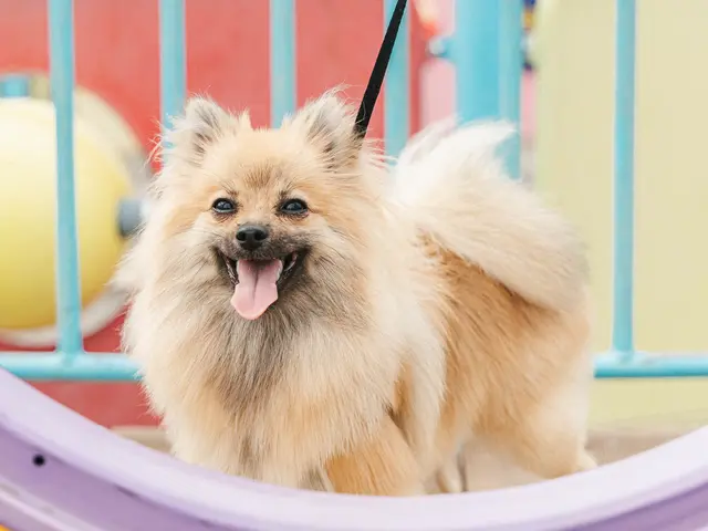 プロの技術でご満足いただけるように心を込めて作業いたします