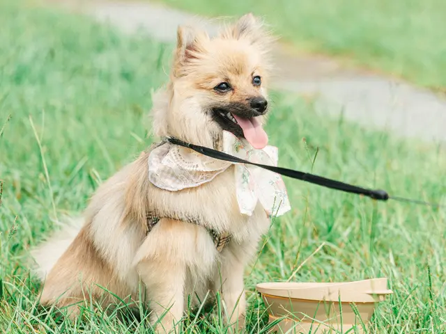 プロの技術でご満足いただけるように心を込めて作業いたします