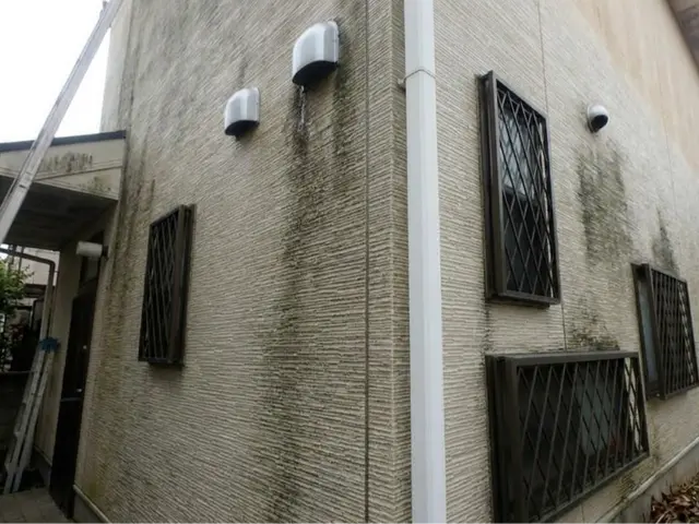 外壁クリーニング（黒ずみ・コケ・雨だれ洗浄）サービスの画像