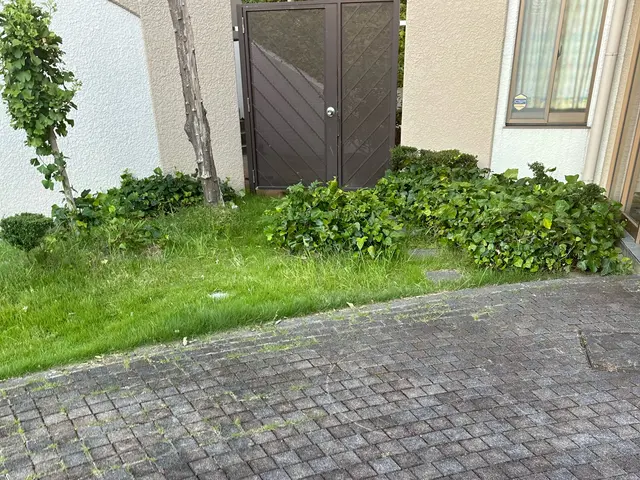 ☆丁寧に手抜きでの草むしりサービス☆除草剤・坊草シート加工もご相談下さいね。サービスの画像