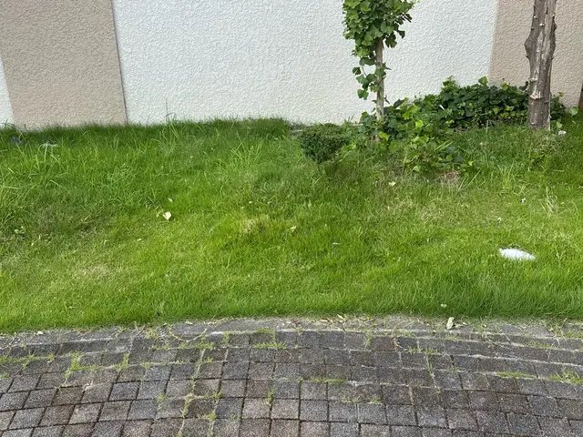 ☆丁寧に手抜きでの草むしりサービス☆除草剤・坊草シート加工もご相談下さいね。サービスの画像
