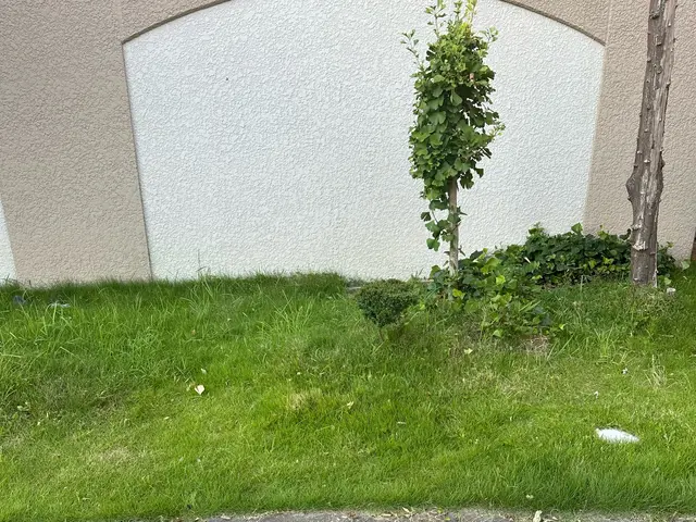 ☆丁寧に手抜きでの草むしりサービス☆除草剤・坊草シート加工もご相談下さいね。サービスの画像