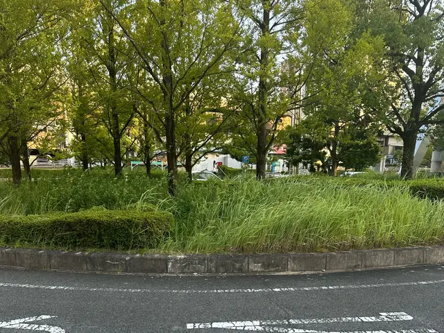 ☆丁寧に手抜きでの草むしりサービス☆除草剤・坊草シート加工もご相談下さいね。サービスの画像