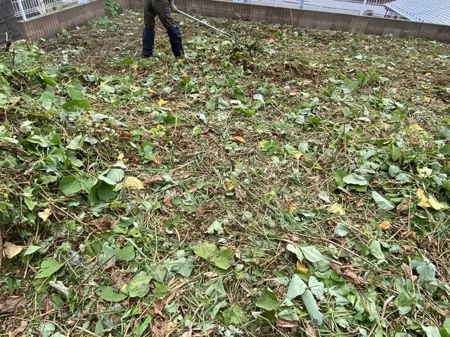 【業歴10年以上の実績】年中無休◎女性スタッフ同行可能◎仕上がり保証ありサービスの画像