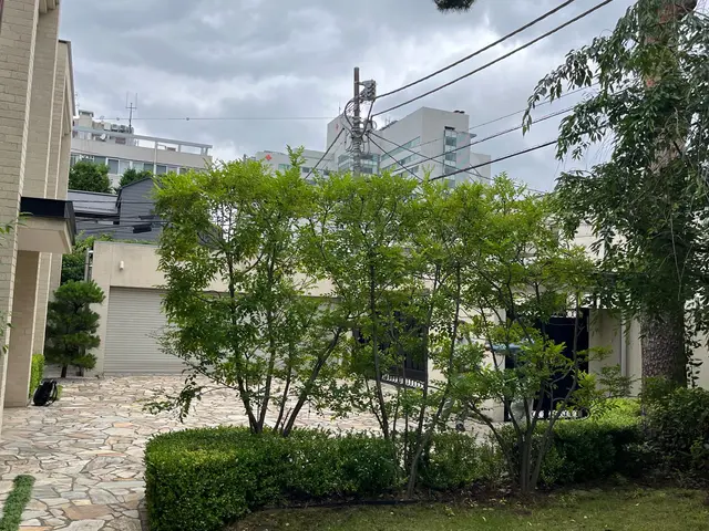 ☆お庭周りの植栽をコンパクトに、綺麗な印象に整えます☆サービスの画像