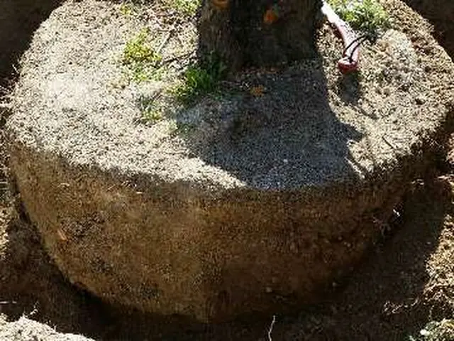 15年の実績ありサービスの画像