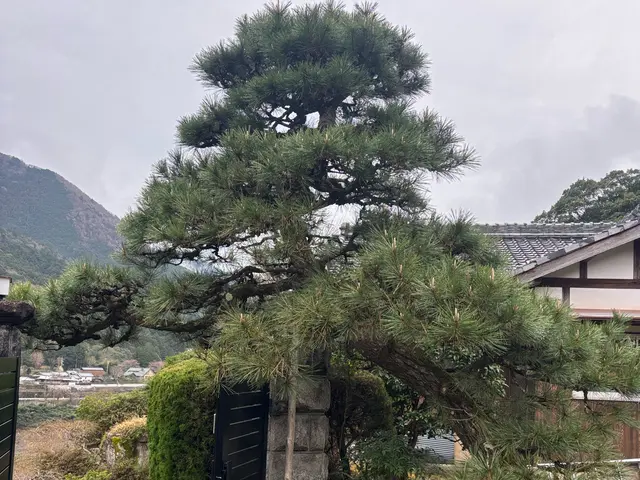 ☆豊かな緑のお庭を☆豊緑園にお任せ下さい！ご自宅以外もご対応致します！サービスの画像