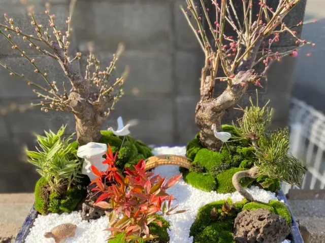 ☆豊かな緑のお庭を☆豊緑園にお任せ下さい！ご自宅以外もご対応致します！サービスの画像