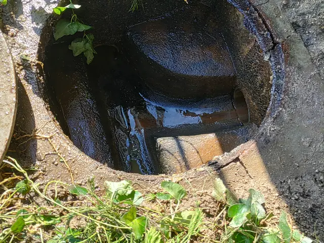 【ハウスクリーニング技能士在籍】業界実績20年★徹底的に汚れを落とします！サービスの画像