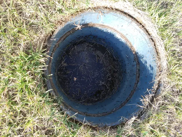 【ハウスクリーニング技能士在籍】業界実績20年★徹底的に汚れを落とします！サービスの画像