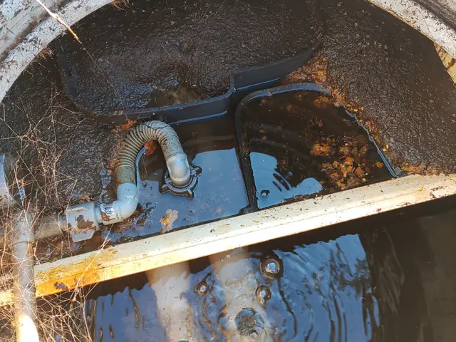 【ハウスクリーニング技能士在籍】業界実績20年★徹底的に汚れを落とします！サービスの画像