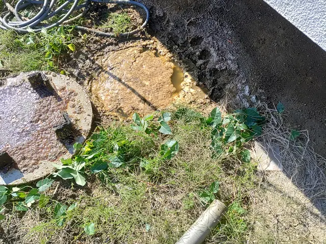 【ハウスクリーニング技能士在籍】業界実績20年★徹底的に汚れを落とします！サービスの画像