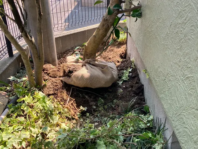 作業外注一切なし◎駐車場代お店負担！営業時間外もご相談ください！サービスの画像