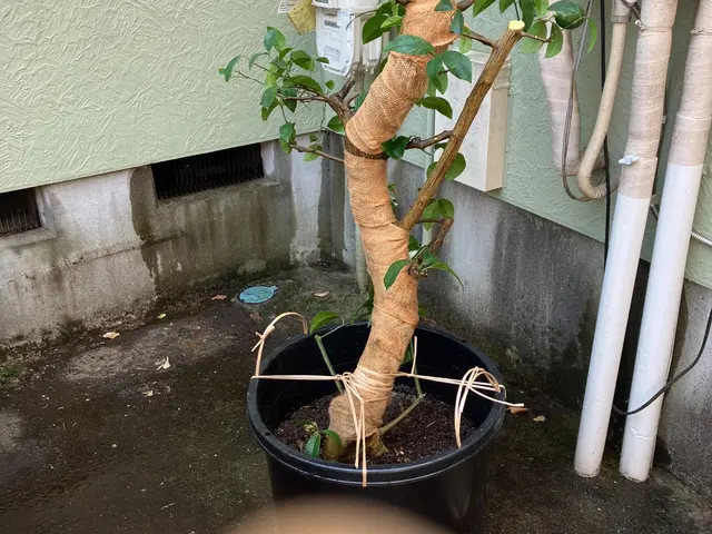 作業外注一切なし◎駐車場代お店負担！営業時間外もご相談ください！サービスの画像